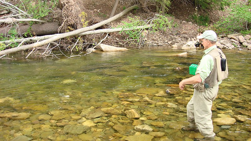Catching one.JPG